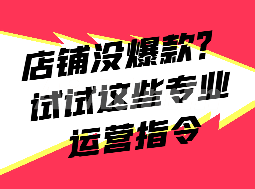 电商店铺优化指令集（商品描述、标题优化、促销策略））